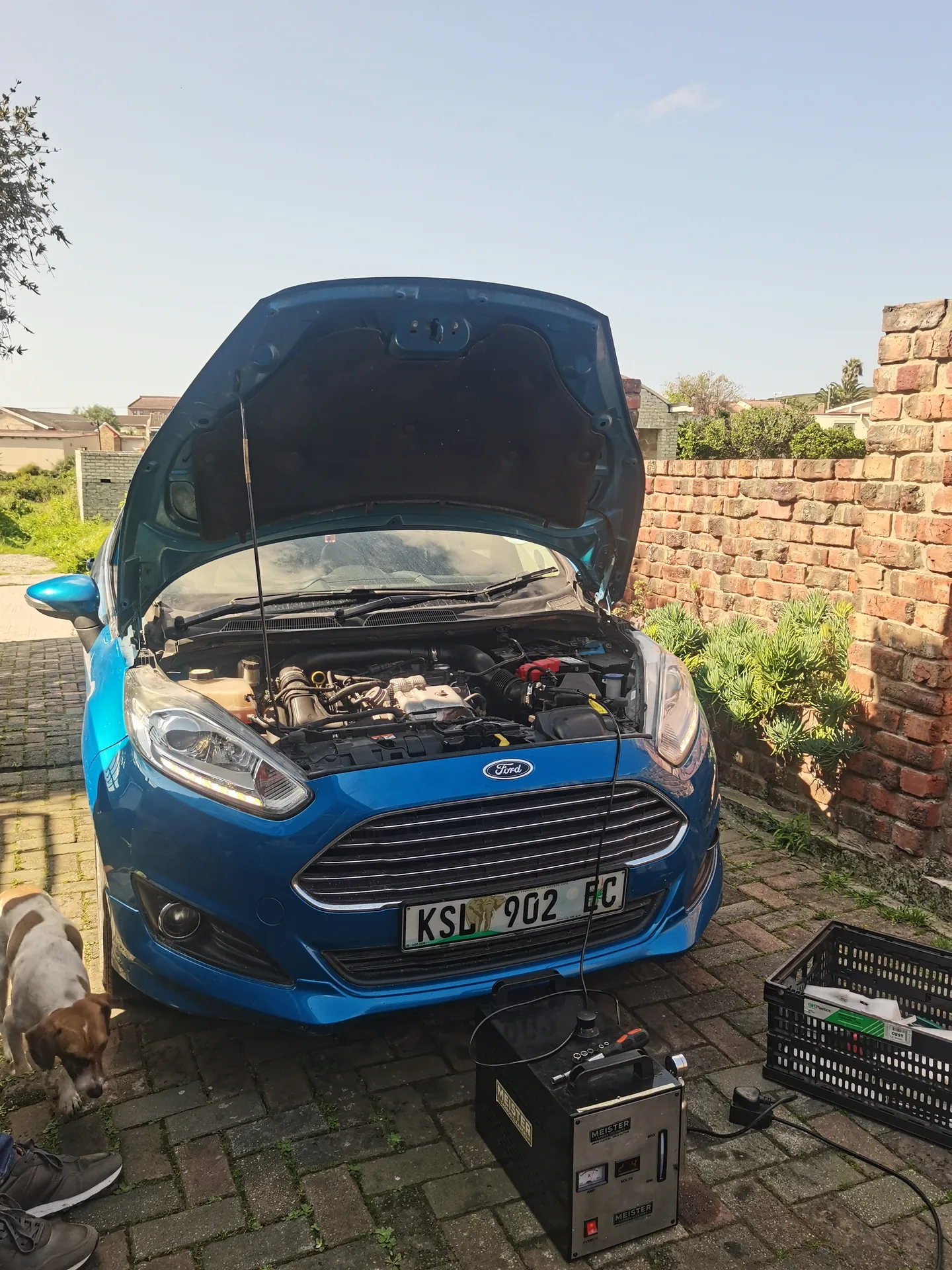 Real vehicle carbon cleaned by MCC